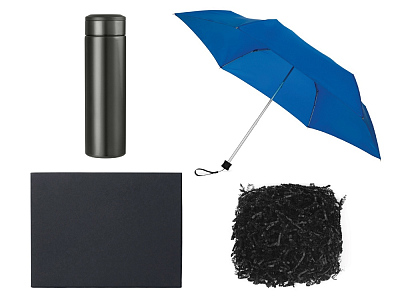 Подарочный набор с зонтом и термосом (Синий)