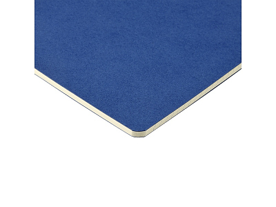 Бизнес тетрадь А5 Pragmatic