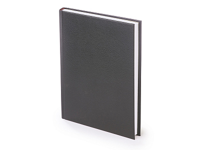 Ежедневник недатированный А5 Ideal New (Чёрный)