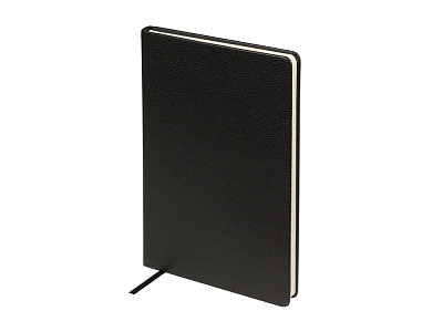 Ежедневник А5 датированный Megapolis Loft на 2026 (Чёрный)