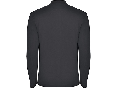 Рубашка поло Estrella мужская с длинным рукавом