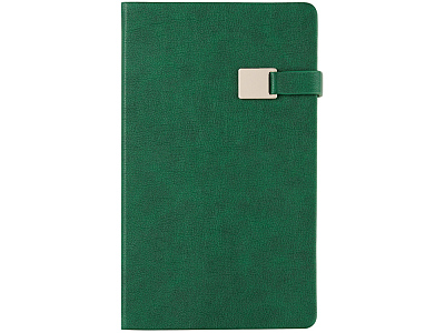 Ежедневник недатированный А5 Premier