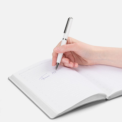 Ручка шариковая Inkish Chrome в футляре, белая