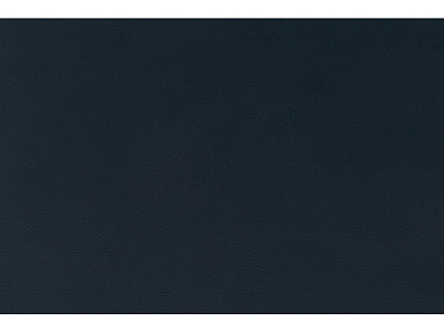 Ежедневник недатированный А5 Megapolis Flex