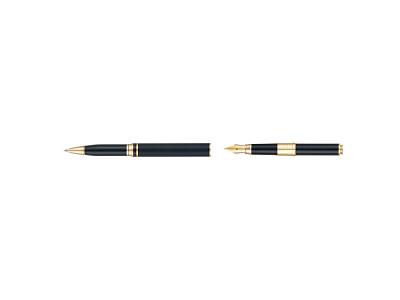 Ручка 2 в 1 шариковая и перьевая Combi Pen