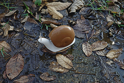 Дозатор мыла ESCAR, коричневый