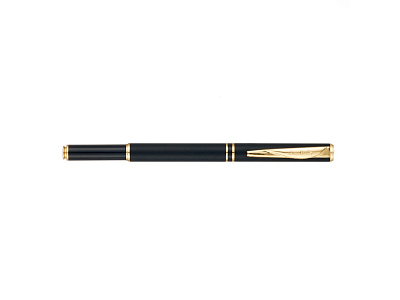 Ручка 2 в 1 шариковая и перьевая Combi Pen