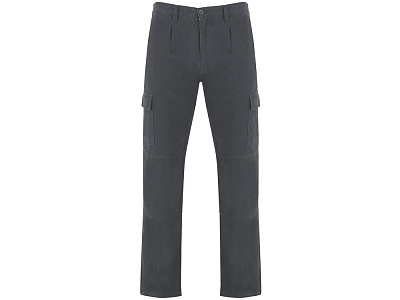 Брюки Safety, мужские (Свинцовый)
