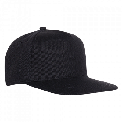 Бейсболка прямой козырёк STAN 5 клиньев хлопок 330, 08 (Чёрный)