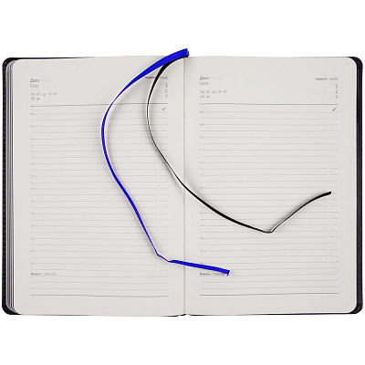 Ежедневник Alanis, недатированный, черный с синим