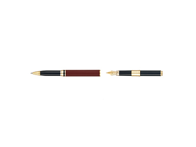 Ручка 2 в 1 шариковая и перьевая Combi Pen