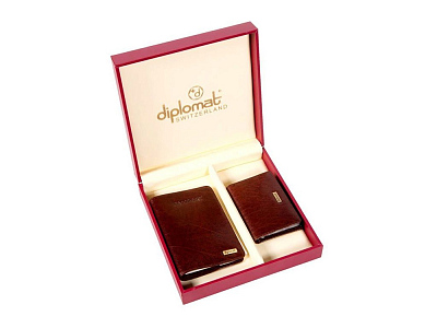 Набор: обложка для паспорта, визитница (Коричневый)