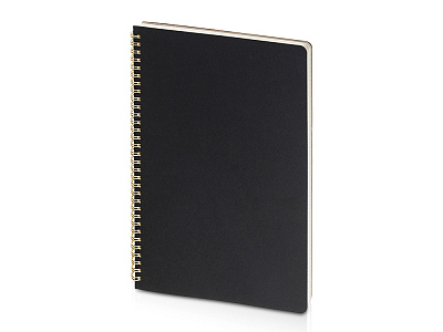 Бизнес-тетрадь А4 Pragmatic (Чёрный)