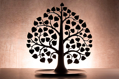 Декоративный органайзер для украшений Bodhi, черный  (Чёрный)